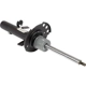 Purchase Top-Quality Front Strut by MOTORCRAFT - AST24655 pa7