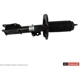 Purchase Top-Quality Front Strut by MOTORCRAFT - AST24726 pa1