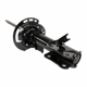 Purchase Top-Quality Front Strut by MOTORCRAFT - AST24737 pa2