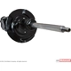Purchase Top-Quality Front Strut by MOTORCRAFT - AST306 pa3