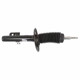 Purchase Top-Quality Front Strut by MOTORCRAFT - AST397 pa5