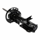 Purchase Top-Quality Front Strut by MOTORCRAFT - AST84756 pa6