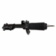 Purchase Top-Quality Front Strut by MOTORCRAFT - AST900 pa3