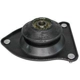 Purchase Top-Quality Front Strut Mount by CRP/REIN - AVQ0396R pa18