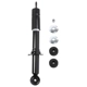 Purchase Top-Quality PRT - 393171 - Suspension Strut pa1