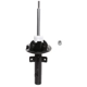 Purchase Top-Quality PRT - 474382 - Suspension Strut pa1