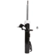 Purchase Top-Quality PRT - 474382 - Suspension Strut pa5