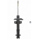 Purchase Top-Quality Front Strut by PRT - 474462 pa1