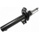 Purchase Top-Quality Front Strut by VAICO - V10-4254 pa1