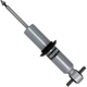 Purchase Top-Quality BILSTEIN - 47-325654 - Strut Assemblies pa3