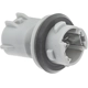 Purchase Top-Quality BLUE STREAK (HYGRADE MOTOR) - S2654 - Electrical Socket pa3