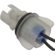 Purchase Top-Quality BLUE STREAK (HYGRADE MOTOR) - S3026 - License Plate Lamp Socket pa3