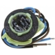 Purchase Top-Quality Front Turn Signal Light Socket by BLUE STREAK (HYGRADE MOTOR) - HP4170 pa1