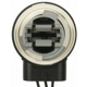 Purchase Top-Quality Front Turn Signal Light Socket by BLUE STREAK (HYGRADE MOTOR) - S1869 pa10