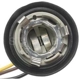 Purchase Top-Quality Front Turn Signal Light Socket by BLUE STREAK (HYGRADE MOTOR) - S55 pa28