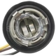 Purchase Top-Quality Front Turn Signal Light Socket by BLUE STREAK (HYGRADE MOTOR) - S55 pa3