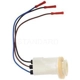 Purchase Top-Quality Front Turn Signal Light Socket by BLUE STREAK (HYGRADE MOTOR) - S626 pa1