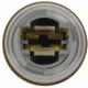 Purchase Top-Quality Front Turn Signal Light Socket by BLUE STREAK (HYGRADE MOTOR) - S809 pa20