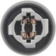 Purchase Top-Quality STANDARD - PRO SERIES - S1836 - Back Up Light Socket pa4