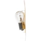 Purchase Top-Quality Front Turn Signal by PHILIPS - 1141B2 pa40
