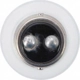 Purchase Top-Quality Front Turn Signal (Pack of 10) by PHILIPS - 198CP pa2