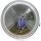 Purchase Top-Quality Front Turn Signal by PHILIPS - R5WLLB2 pa42