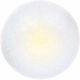 Purchase Top-Quality Clignotant avant de SYLVANIA - 168LED.BP pa10