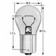Purchase Top-Quality WAGNER - BP1156NALL - Front Turn Signal pa2