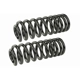 Purchase Top-Quality MEVOTECH - SMS866V - Coil Springs pa1