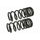 Purchase Top-Quality Front Variable Rate Springs by MEVOTECH - SMS1706V pa1