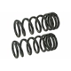 Purchase Top-Quality Front Variable Rate Springs by MEVOTECH - SMS1712V pa1