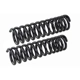Purchase Top-Quality Front Variable Rate Springs by MEVOTECH - SMS248V pa1