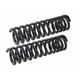 Purchase Top-Quality Springs à taux variable avant by MEVOTECH - SMS248V pa1