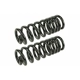 Purchase Top-Quality Springs à taux variable avant by MEVOTECH - SMS876V pa1