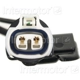 Purchase Top-Quality Front Wheel ABS Sensor by BLUE STREAK (HYGRADE MOTOR) - ALS1061 pa4