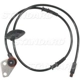 Purchase Top-Quality Capteur ABS de roue avant de BLUE STREAK (HYGRADE MOTOR) - ALS388 pa2