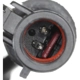 Purchase Top-Quality Front Wheel ABS Sensor by BWD AUTOMOTIVE - ABS309 pa5