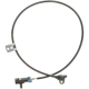 Purchase Top-Quality DELPHI - SS20852 - ABS Wheel Speed Sensor pa1