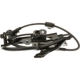 Purchase Top-Quality DELPHI - SS21368 - Front Wheel ABS Sensor pa6