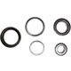 Purchase Top-Quality Front Wheel Bearing Kit by CRP/REIN - BES0020P pa2