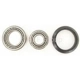Purchase Top-Quality Front Wheel Bearing Kit by SKF - VKBA3474VP pa3