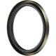 Purchase Top-Quality FAG - SS3295 - Wheel Bearing Seals pa2