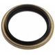 Purchase Top-Quality Front Wheel Seal by NATIONAL OIL SEALS - 4899 pa1