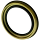 Purchase Top-Quality NATIONAL OIL SEALS - 710125 - Wheel Seal pa1