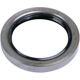 Purchase Top-Quality Front Wheel Seal by SKF - 19596 pa2