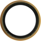 Purchase Top-Quality Front Wheel Seal by TIMKEN - 710127 pa10