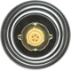 Purchase Top-Quality Fuel Cap by MOTORAD - MGC24 pa3