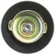 Purchase Top-Quality Fuel Cap by MOTORAD - MGC32 pa3