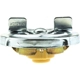 Purchase Top-Quality Fuel Cap by MOTORAD - MGC40 pa5