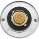 Purchase Top-Quality Fuel Cap by MOTORAD - MGC49 pa3